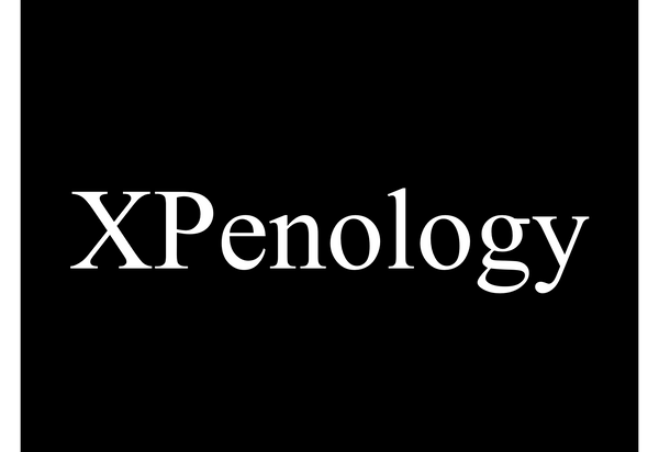 XPenology 설치